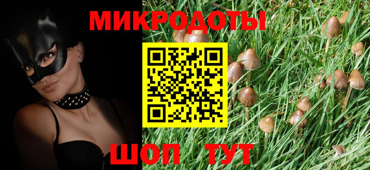 Галлюциногенные грибы Psilocybine cubensis Верхняя Салда